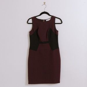 Maroon and Black Sheath Dress